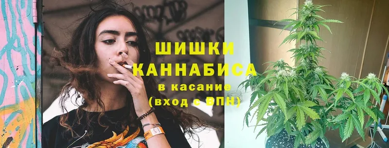 где купить наркоту  Дальнереченск  Бошки Шишки LSD WEED 